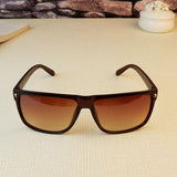 Classic Brown and Black Sunglasses